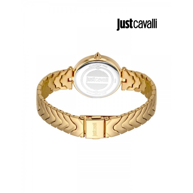 Just Cavalli JC1L238M0065 Kadın Kol Saati