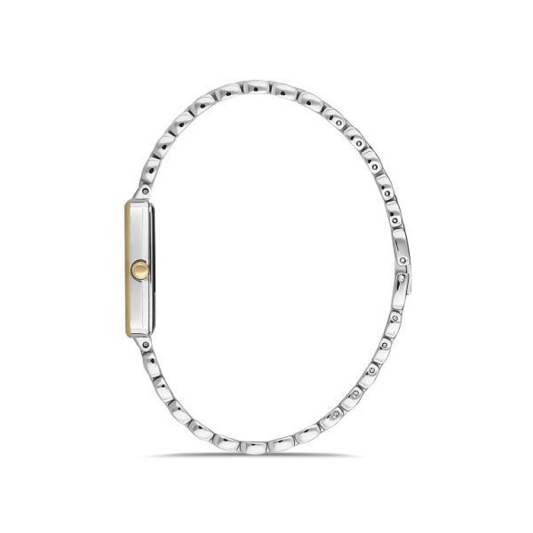Momentus SW273T-02SG Kadın Kol Saati